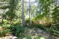 370 MAPLE DRIVE - thumbnail 38