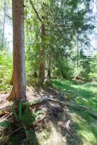 370 MAPLE DRIVE - thumbnail 39