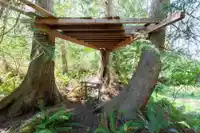 370 MAPLE DRIVE - thumbnail 40