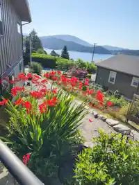 659 GIBSONS WAY - thumbnail 40