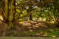 32 6625 138TH STREET - thumbnail 20