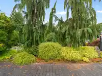5231 1 AVENUE - thumbnail 9