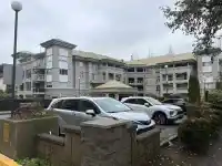 102 10533 UNIVERSITY DRIVE - thumbnail 2