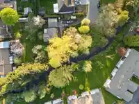27394 30 AVENUE - thumbnail 34