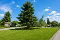 11063 135A STREET - thumbnail 25