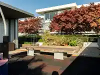 2 1777 W 7TH AVENUE - thumbnail 31