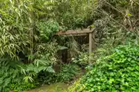 5324 234 STREET - thumbnail 37