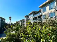 C202 20211 66 AVENUE - thumbnail 18