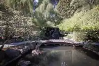 55 6600 LUCAS ROAD - thumbnail 35