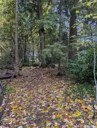 1498 CHAMBERLAIN DRIVE - thumbnail 39