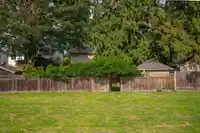 20868 95A AVENUE - thumbnail 35