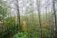 C310 20211 66TH AVENUE - thumbnail 24