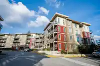 C310 20211 66TH AVENUE - thumbnail 36