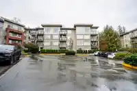 C310 20211 66TH AVENUE - thumbnail 39
