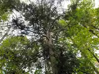 29933 ANDERSON AVENUE - thumbnail 22