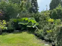 5278 BELAIR DRIVE - thumbnail 4