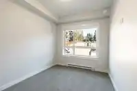 217 33886 PINE STREET - thumbnail 15