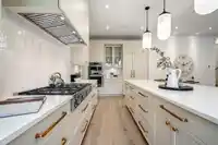 20333 41A AVENUE - thumbnail 14