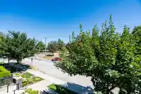 207 22087 49 AVENUE - thumbnail 21