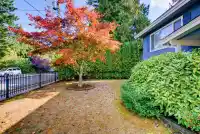 20014 38 AVENUE - thumbnail 3