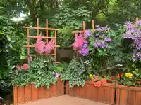 4603 HOSKINS ROAD - thumbnail 24