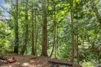 14093 MAGDALEN AVENUE - thumbnail 34