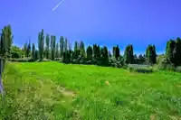 5950 BRADNER ROAD - thumbnail 8
