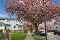 1 3637 E 46TH AVENUE - thumbnail 39