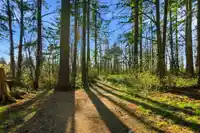 54 433 SEYMOUR RIVER PLACE - thumbnail 7