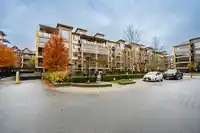 467 8258 207A STREET - thumbnail 1