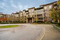 467 8258 207A STREET - thumbnail 3