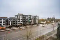 467 8258 207A STREET - thumbnail 27