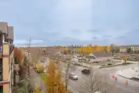 467 8258 207A STREET - thumbnail 29