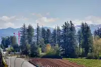 65 1419 MCCALLUM ROAD - thumbnail 34