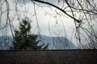 2654 OXFORD STREET - thumbnail 9