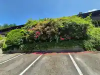 1621 34909 OLD YALE ROAD - thumbnail 34