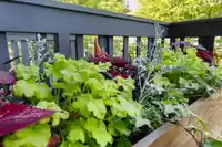 3 307 E 15TH STREET - thumbnail 23