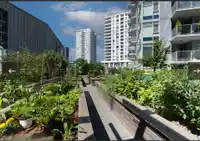 1508 8538 RIVER DISTRICT CROSSING - thumbnail 13