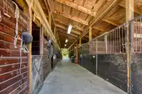 19636 8 AVENUE - thumbnail 12