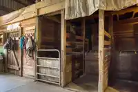 19636 8 AVENUE - thumbnail 14