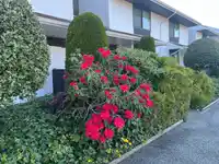 517 9651 GLENDOWER DRIVE - thumbnail 28