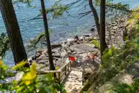 1477 CLEATOR ROAD - thumbnail 33