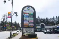 20188 40 AVENUE - thumbnail 30