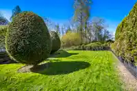 12 20761 TELEGRAPH TRAIL - thumbnail 32