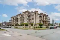 208 20175 53RD AVENUE - thumbnail 1
