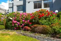 701 1341 CLYDE AVENUE - thumbnail 31