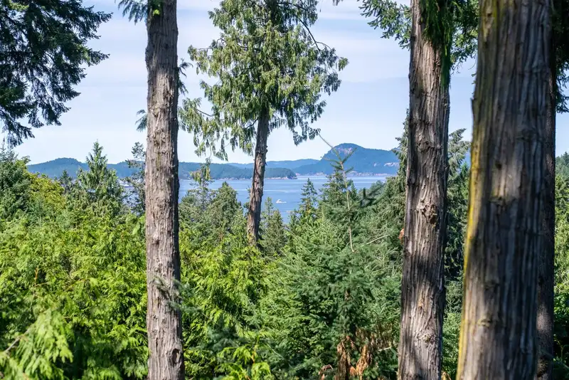 2610 GUNWHALE ROAD - photo 4 of 35