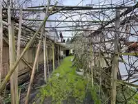 309 BOYNE STREET - thumbnail 24