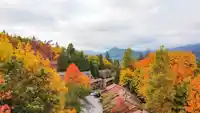 234 CORNELL WAY - thumbnail 6
