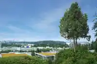 850 ESQUIMALT AVENUE - thumbnail 21